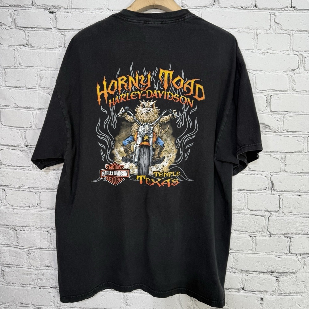 Harley Davidson‎ Horny Toad T Shirt 2XL Black Flames Temple TX Biker Graphic USA